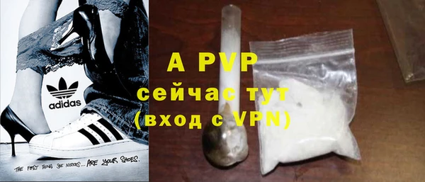 apvp Верея