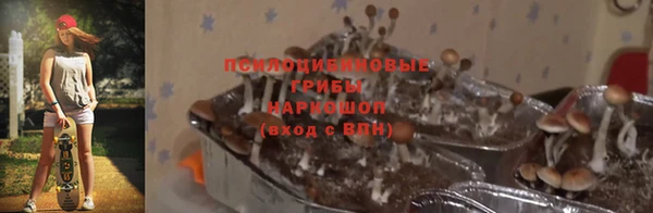 трава Верхний Тагил