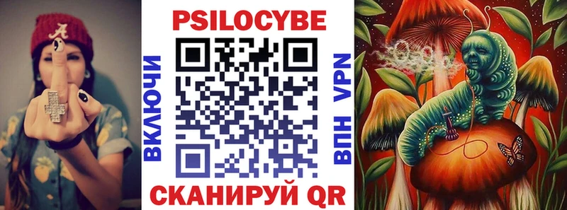 где можно купить наркотик  Кисловодск  Псилоцибиновые грибы ЛСД 
